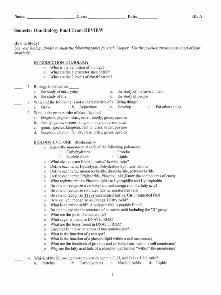 Bio Review | PDF