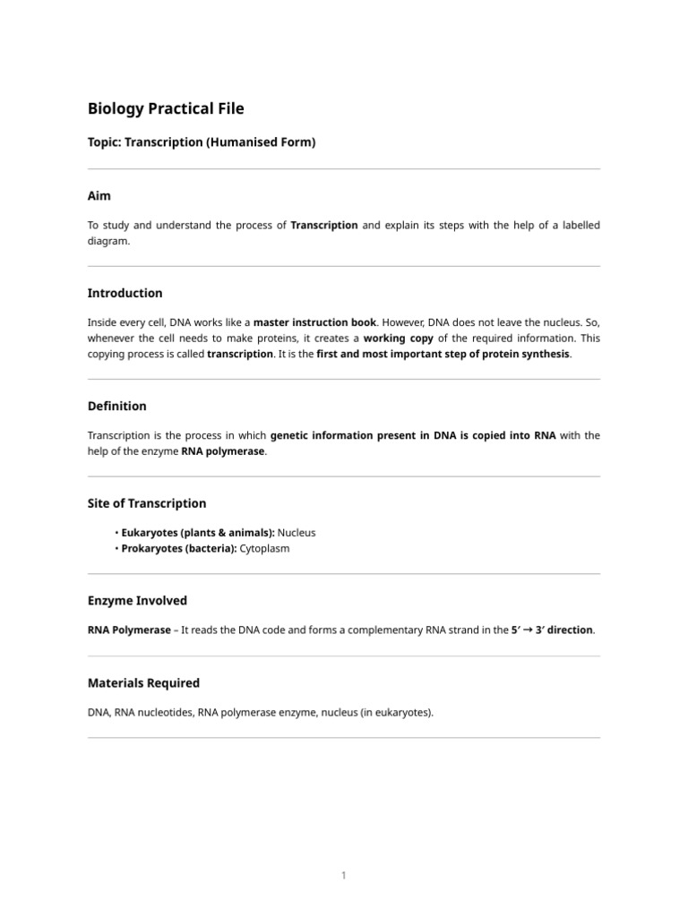Transcription Process in Biology | PDF | Dna | Rna