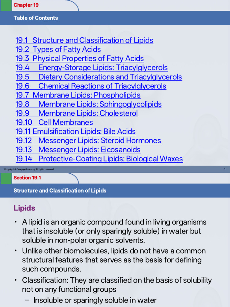 Inbound 5538175071157556188 | PDF | Lipid | Triglyceride