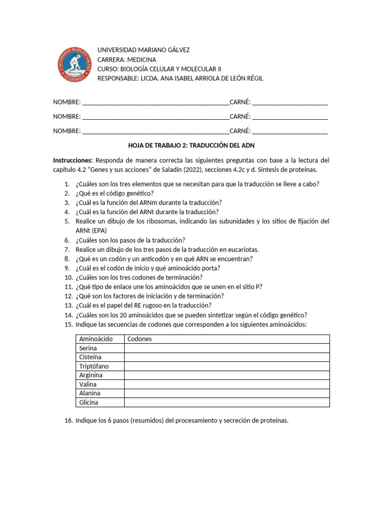 Hoja+de+Trabajo+3+Traducci%C3%B3n | PDF