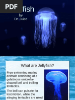 Download Jellyfish by DrJuice SN98062625 doc pdf