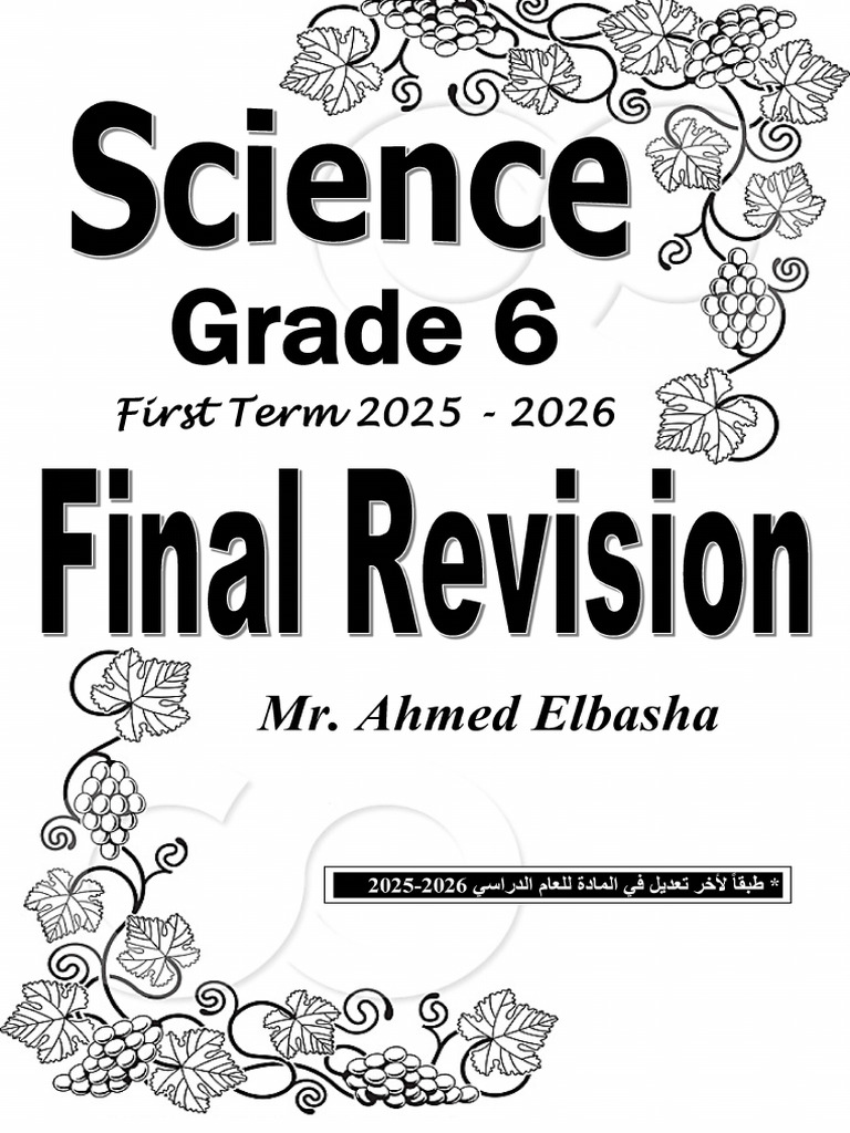 Grade 6 - Final Revision 2025 | PDF