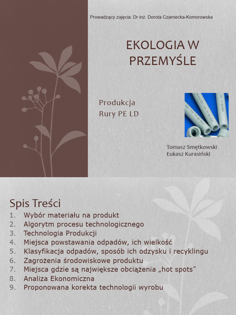 Przyklad Projekt | PDF