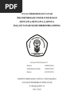 Makalah TRANSFORMASI UNSUR2 Dan Senyawa2 Dalam Tanah Oleh Mikroorganisme