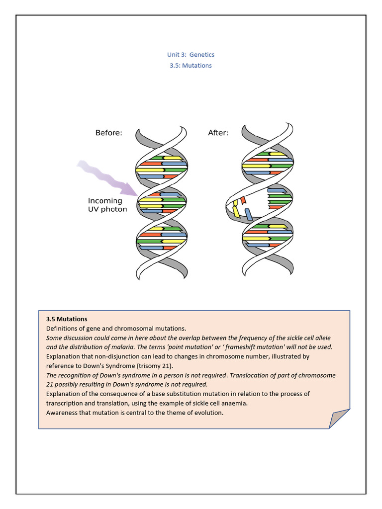3.5 Mutations | PDF | Mutation | Point Mutation
