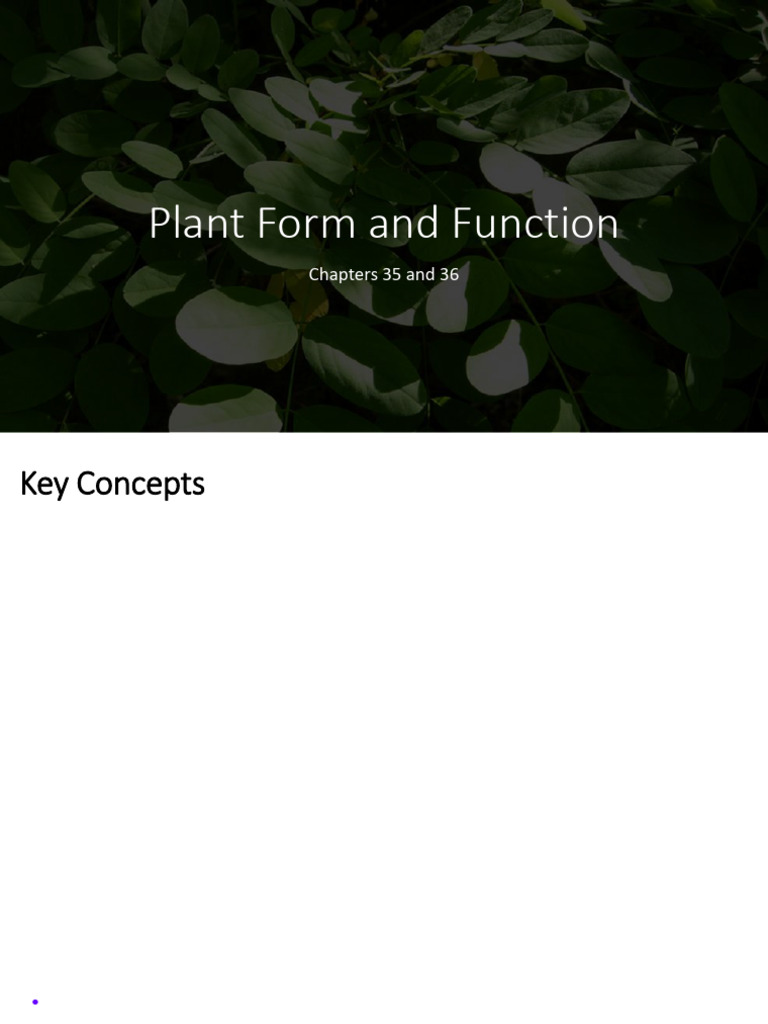 102_Plant Form and Function | PDF | Leaf | Stoma