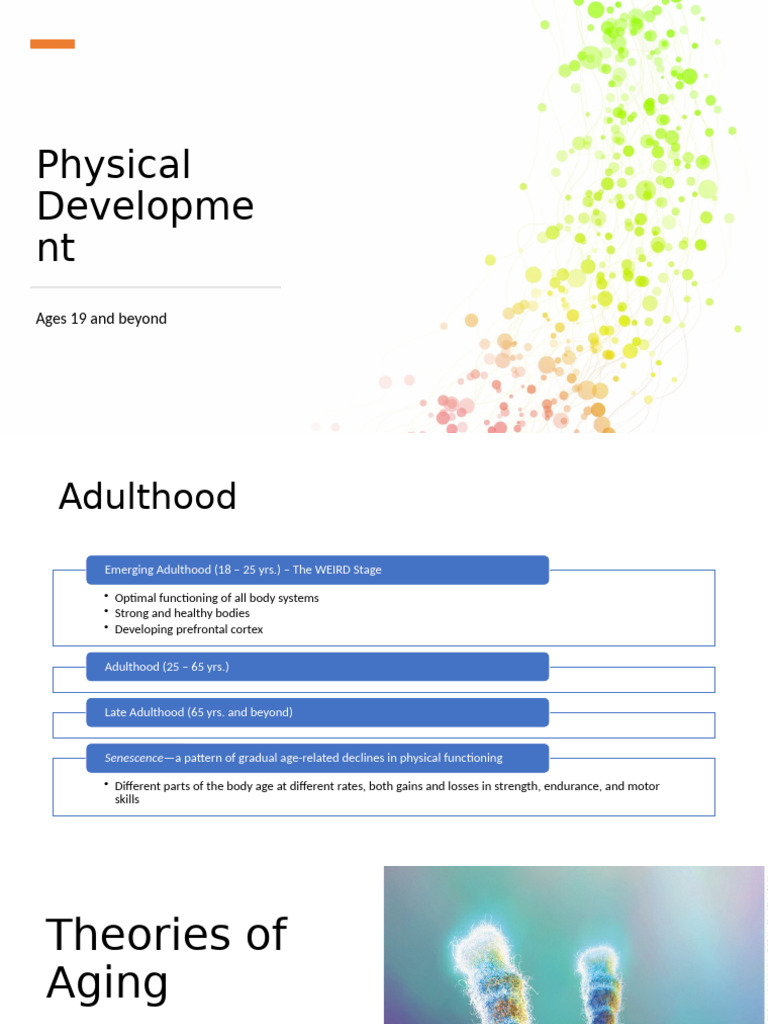 Physical and Cognitive Development in Adulthood | PDF | Senescence ...