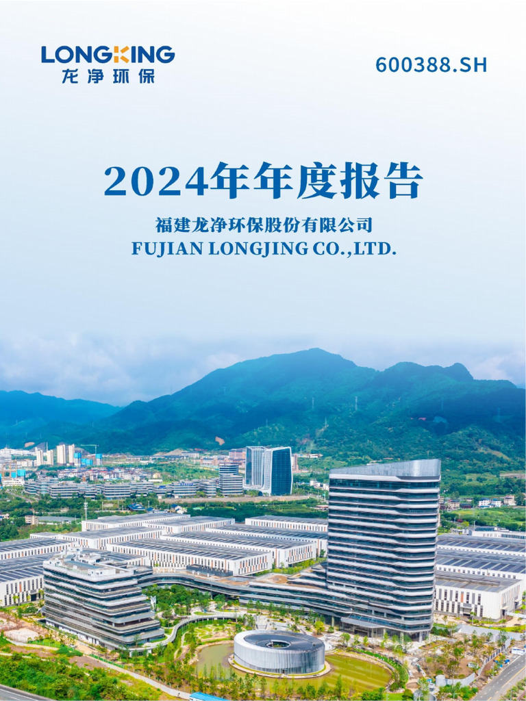 龙净环保2024年报| PDF