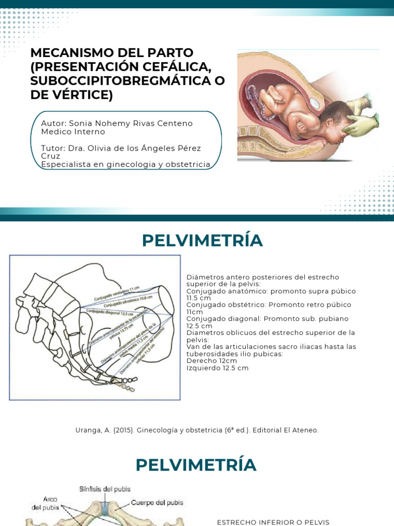 Mecanismo del parto (presentación cefálica, suboccipitobregmática o de ...