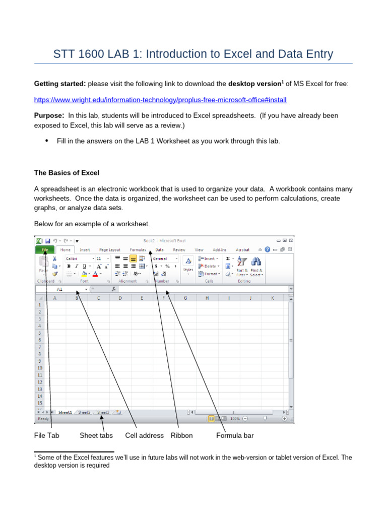 Excel Basics: Data Entry Lab Guide | PDF | Microsoft Excel | Spreadsheet