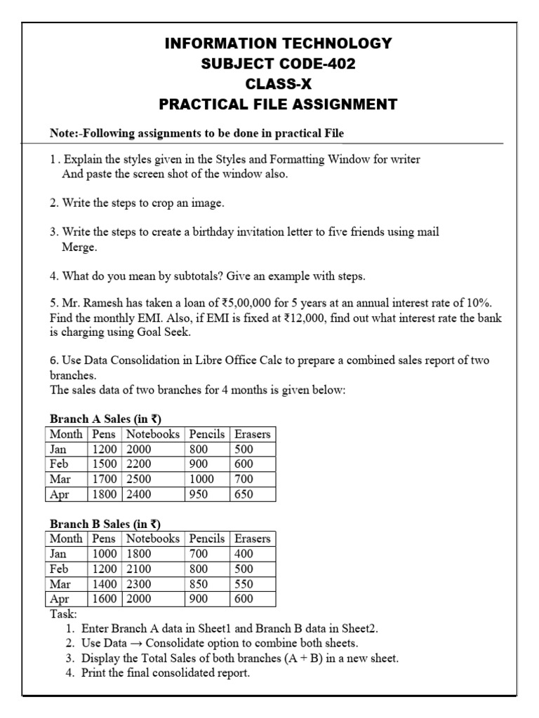 IT Practical File Assignment Guide | PDF