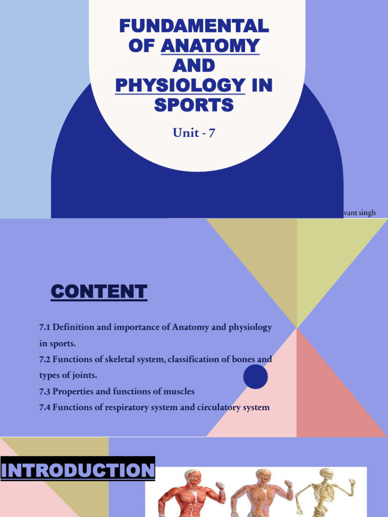 Unit 7 Fundamental of Anatomy and Physiology in Sports-1 | PDF | Muscle ...