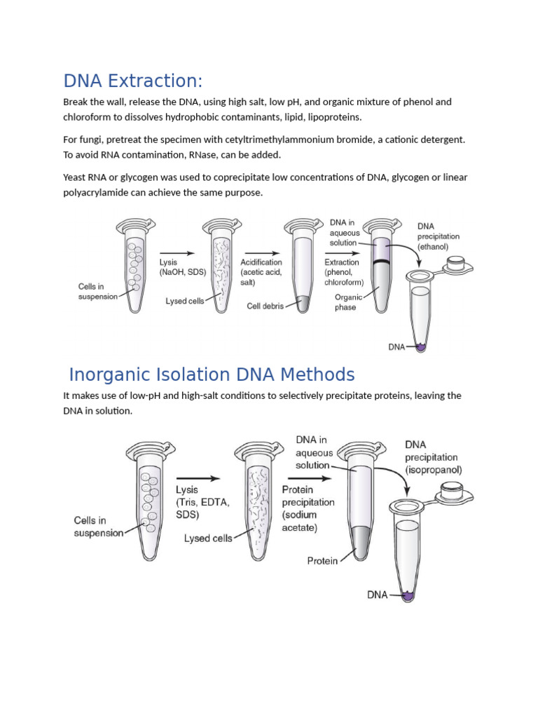 DNA and RNA Isolation Techniques | PDF | Dna | Rna