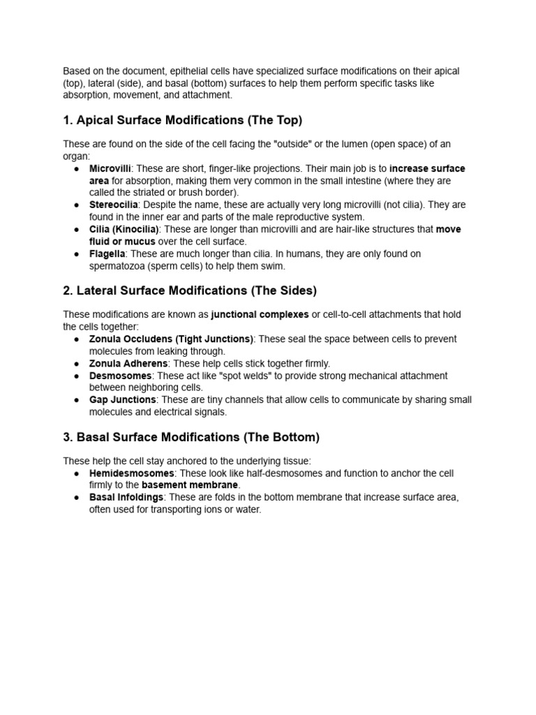 Epithelial Cell Surface Modifications | PDF