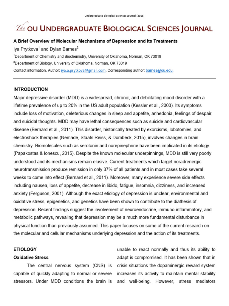 Molecular Mechanisms of Depression | PDF | Astrocyte | Major Depressive ...