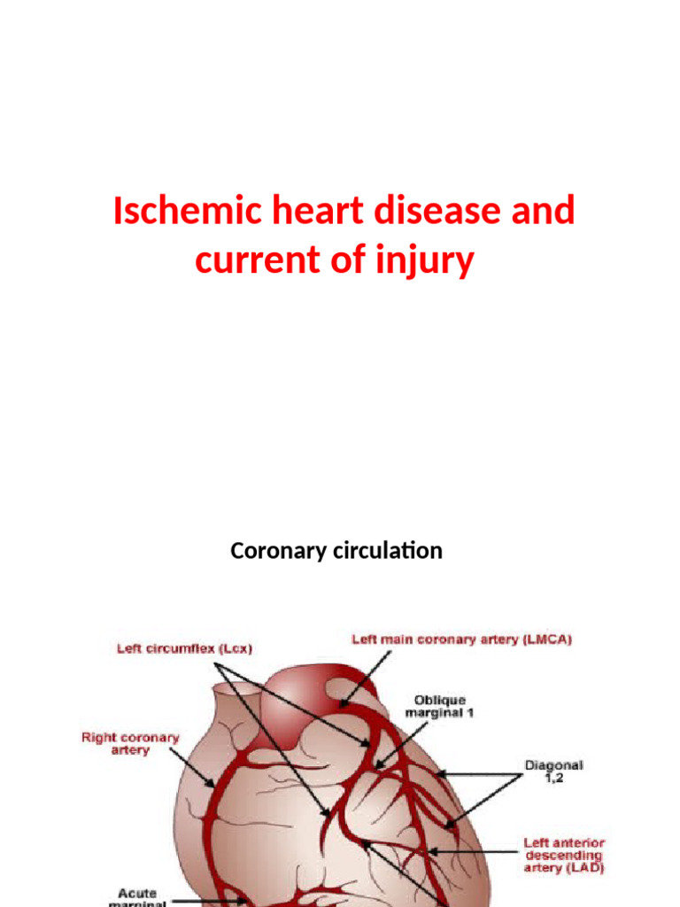 Ischemic Heart Disease: Current of Injury | PDF | Electrocardiography ...