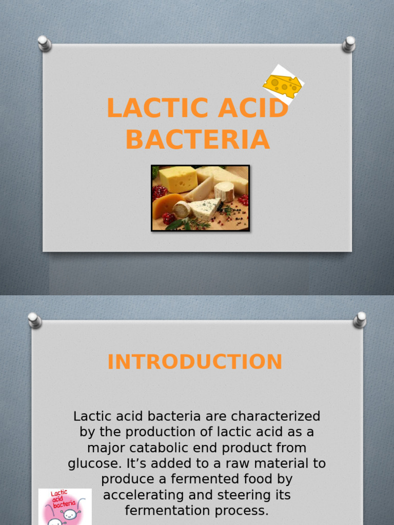 Lactic Acid Bacteria: Functions & Applications | PDF | Fermentation ...
