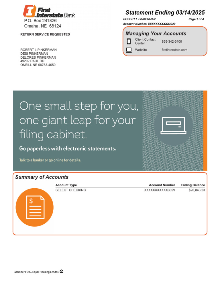 Checking Account Statement Summary | PDF | Debits And Credits | Overdraft