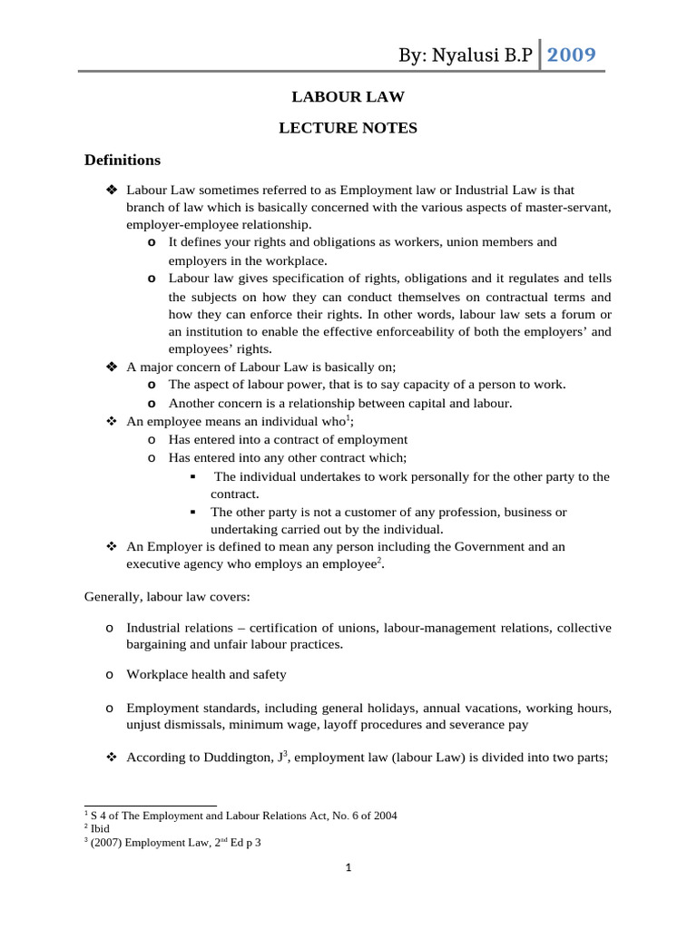 Overview of Labour Law Principles | PDF | Labour Law | Employment