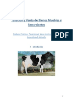 Tasacion de Vaca de CAbaña Holando Argentino