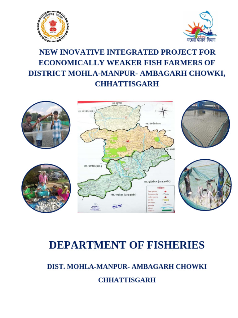 Innovative Fish Farming Project in Chhattisgarh | PDF | Internal Rate ...