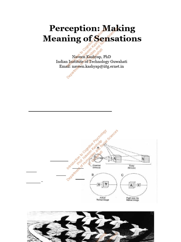 Understanding Perception in Psychology | PDF | Perception | Cognitive ...