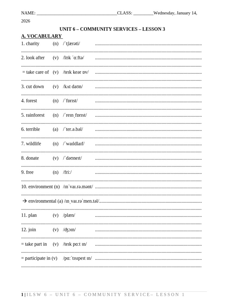 Unit 6 - Community Service - Lesson 3 | PDF