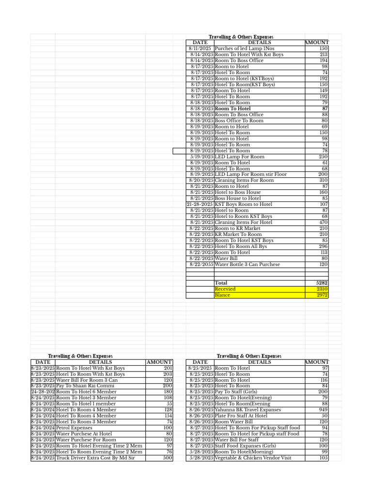 Daily Expenses | PDF