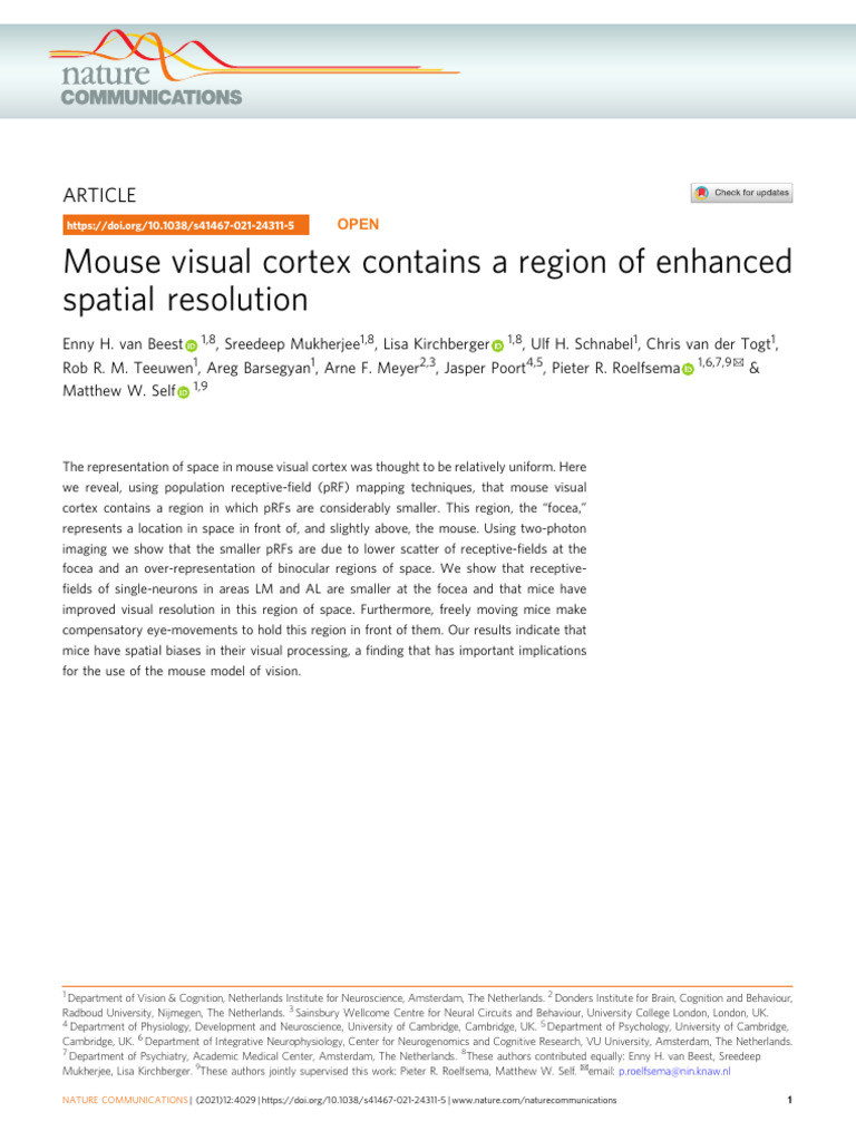 Mouse Visual Cortex Spatial Resolution Insights | PDF | Visual Cortex ...