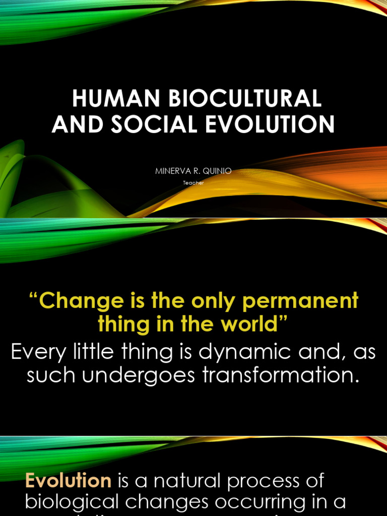 Human Biocultural Evolution Overview | PDF | Homo | Skull