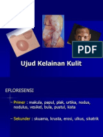 Ujud Kelainan Kulit - Nugrohoaji D., DR., MKes., SpKK.