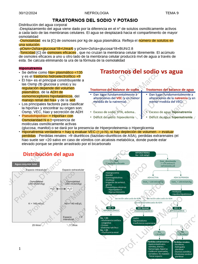 Trastornos de Sodio y Potasio en Nefrología | PDF | Sodio ...