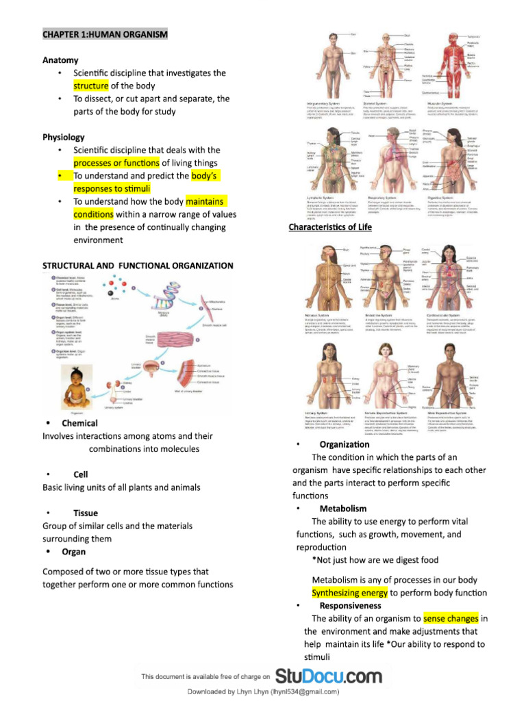 Anaphy Reviewer For Exam | PDF