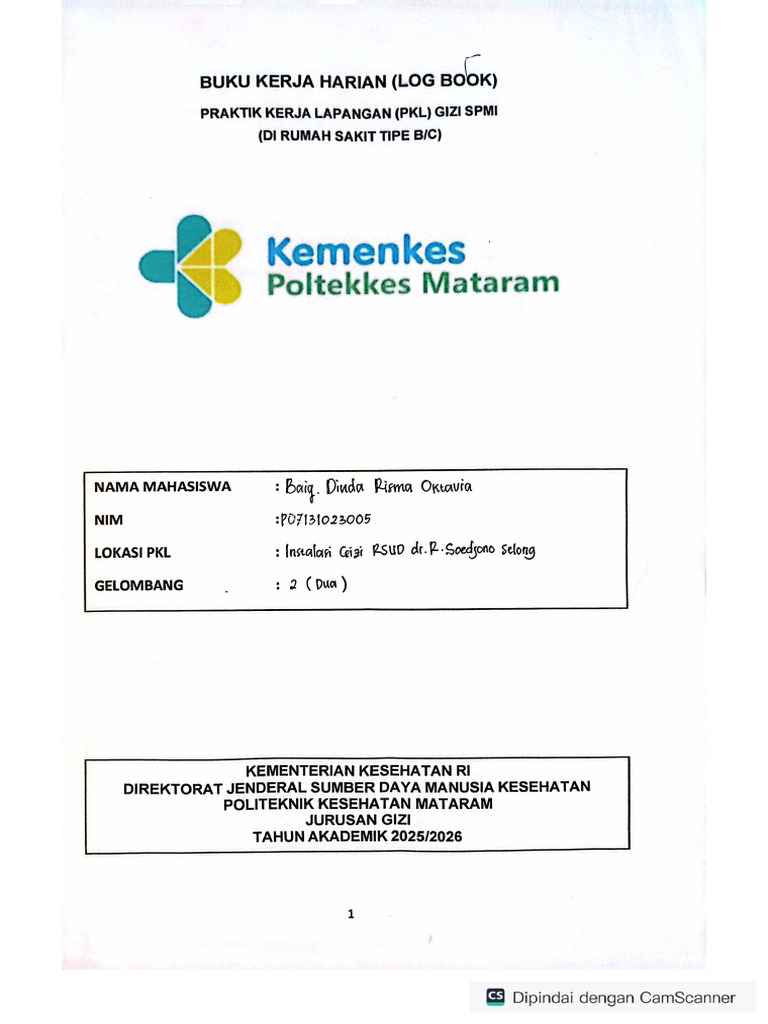 Loogbook SPMI Baiq Dinda Risma Oktavia | PDF