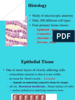 17 Tongue,+Esophagus+ +stomach | PDF | Stomach | Epithelium