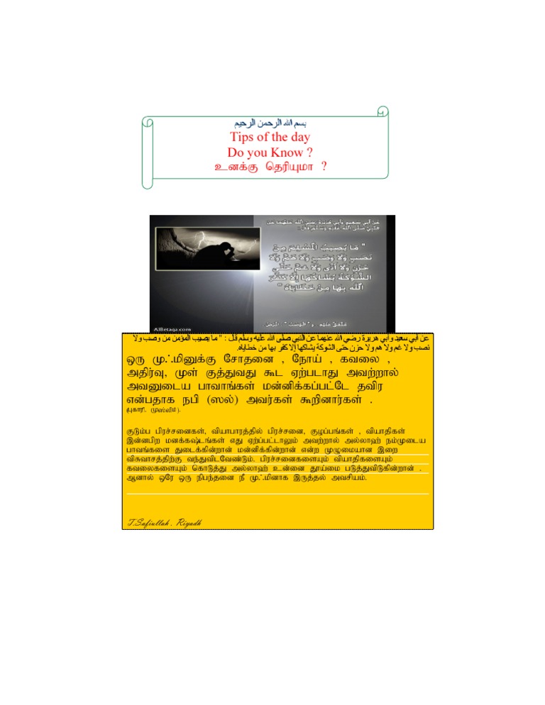 SEO Strategies for Document Optimization | PDF | Science & Mathematics ...