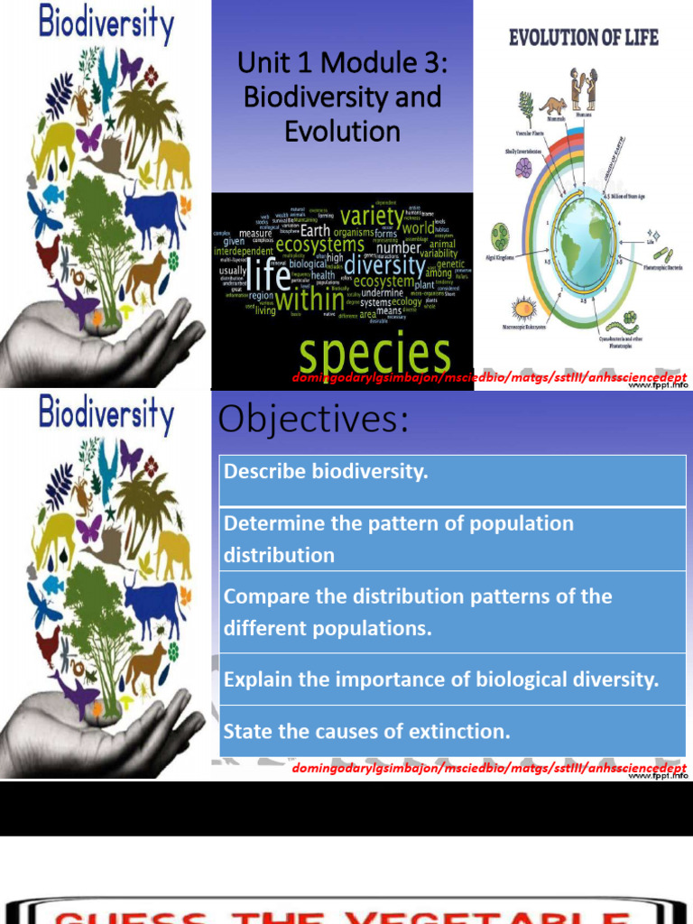 Biodiversity and Evolution Overview | PDF | Biodiversity | Evolution
