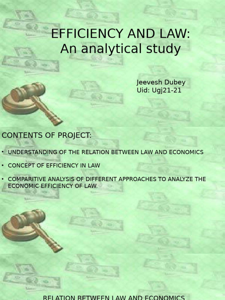 Efficiency in Law: An Analytical Study | PDF