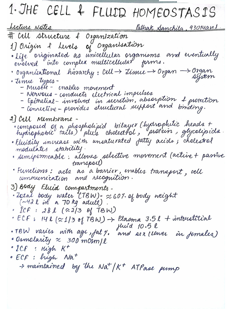Physiology | PDF