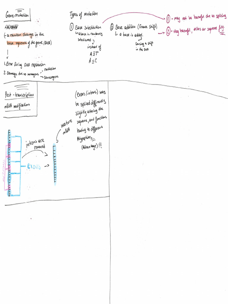 Bio 5 s2 | PDF