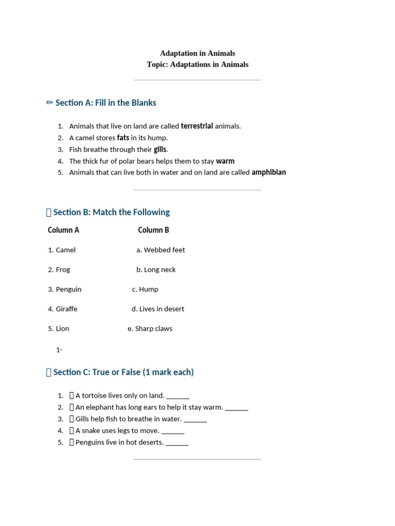 Animal Adaptations Explained | PDF
