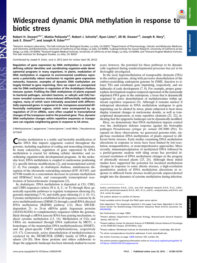 Dynamic DNA Methylation in Plants | PDF | Dna Methylation | Regulation ...