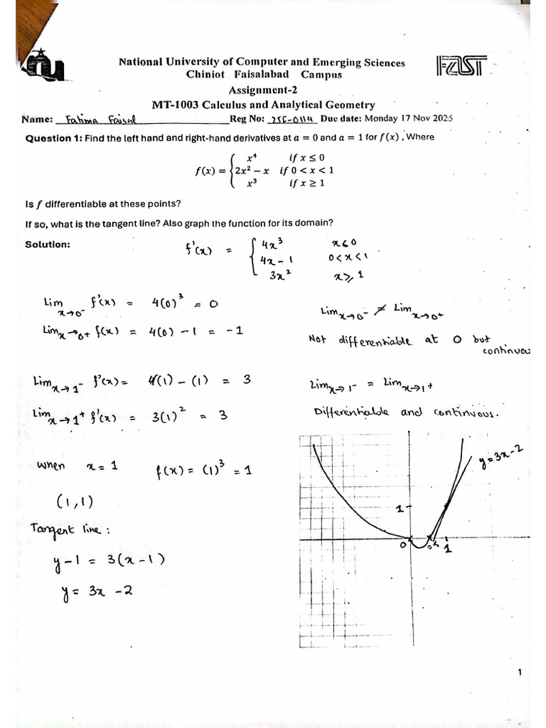 Assignment 2 Calculus About Functions | PDF