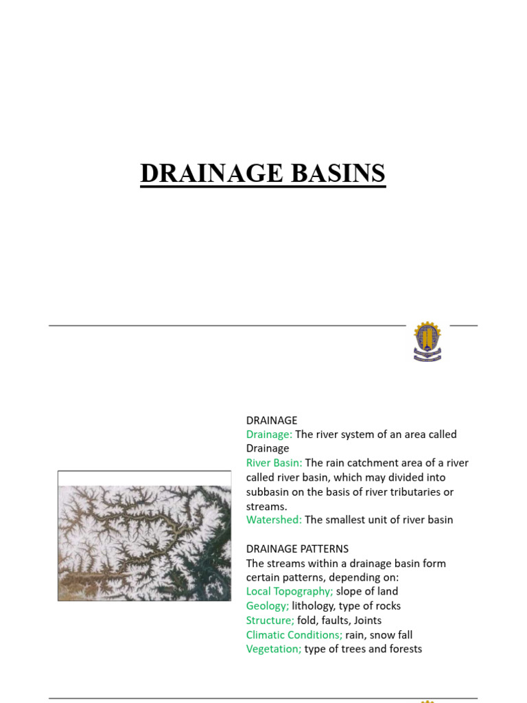 Understanding Drainage Basins and Patterns | PDF | Hydrography | Landscape