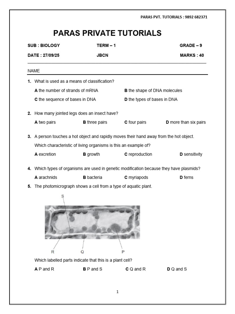 Grade 9 Biology Exam Questions | PDF | Leaf | Enzyme