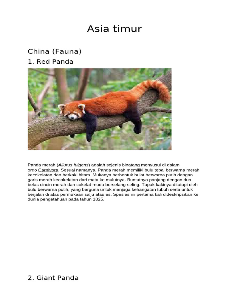 Asia Timur | PDF