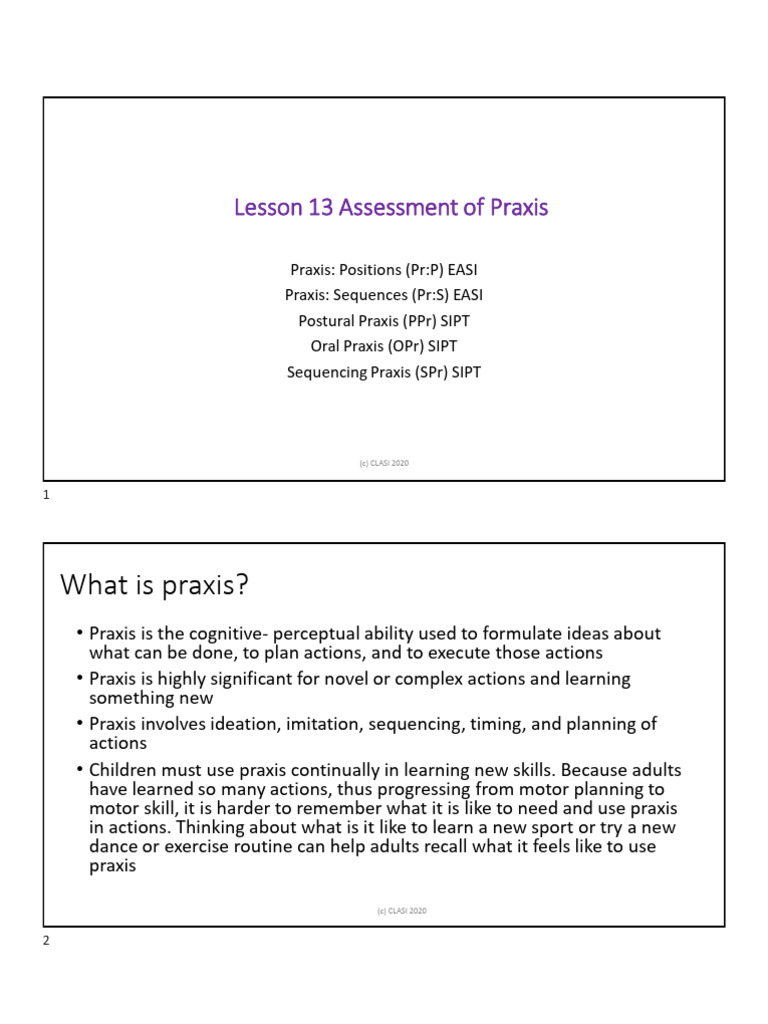 Assessing Praxis in Children: EASI & SIPT | PDF | Imitation ...