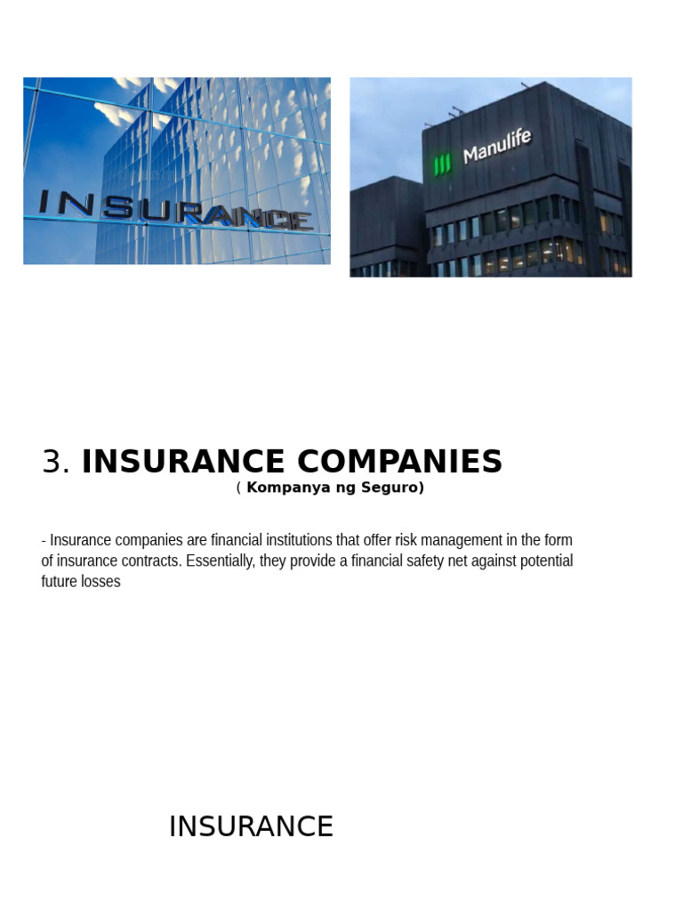 Understanding Insurance Companies | PDF