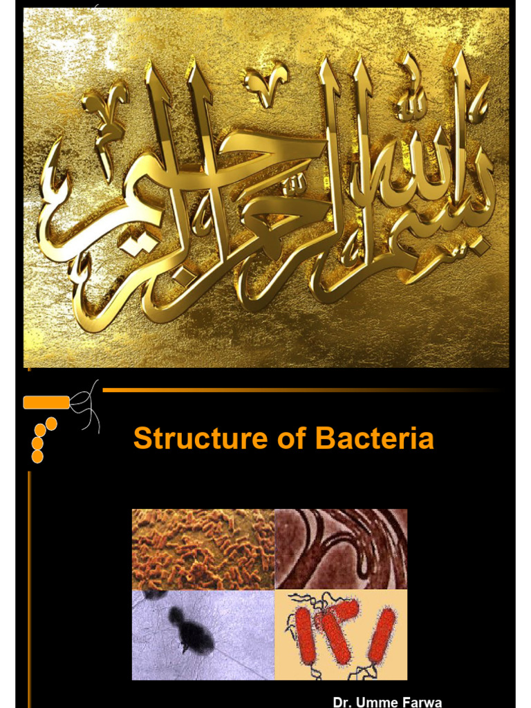 Bacterial Structure and Classification Guide | PDF | Bacteria | Cell ...