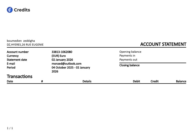 Account Statement for Boumedien Zeddigha | PDF